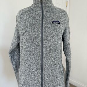 Patagonia Gray Heather Full-Zip Teddy Fleece Jacket